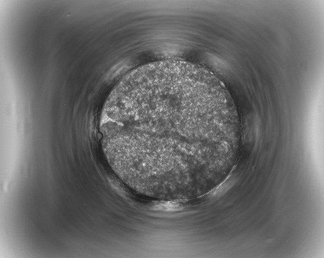 X0000084530140200703161615