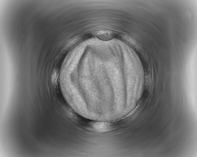 X0000084530142200703161615