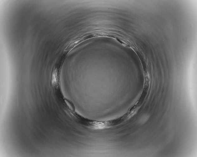 X0000084530143200703161615