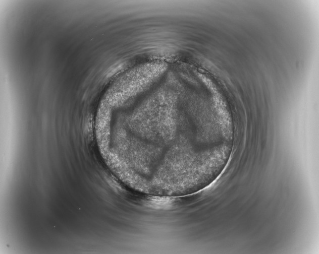 X0000084530144200703161615