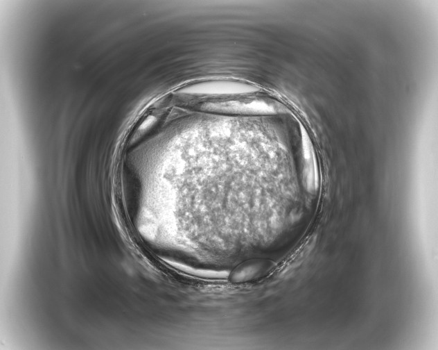 X0000084530145200703161615