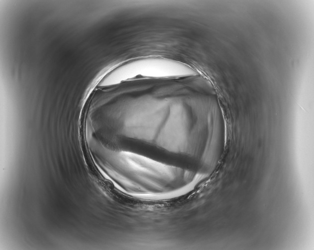 X0000084530147200703161615