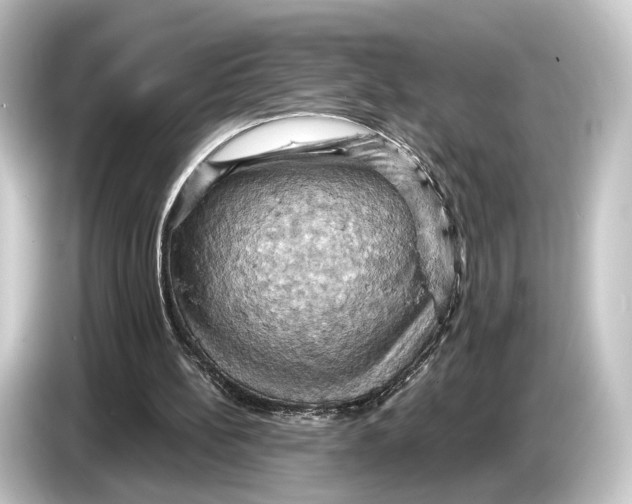 X0000084530148200703161615