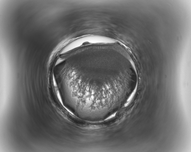 X0000084530149200703161615