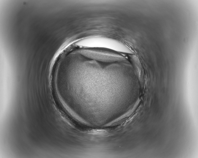 X0000084530150200703161615