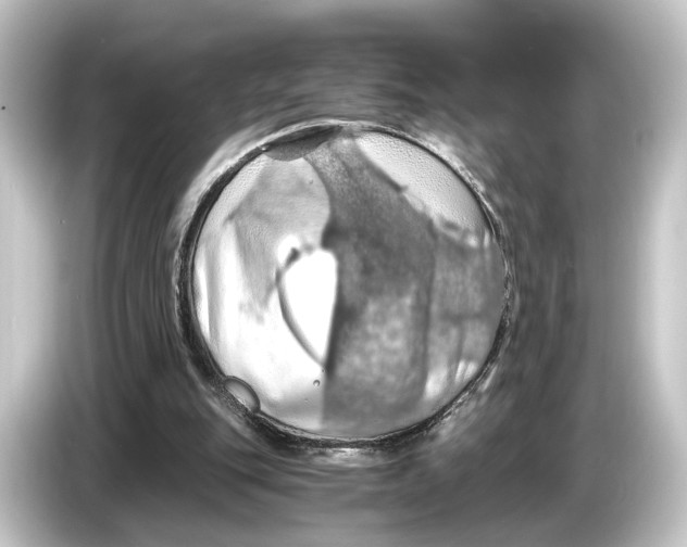 X0000084530151200703161615