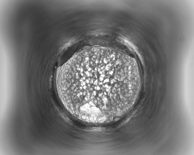 X0000084530153200703161615