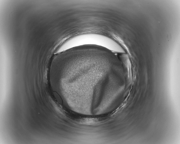 X0000084530154200703161615