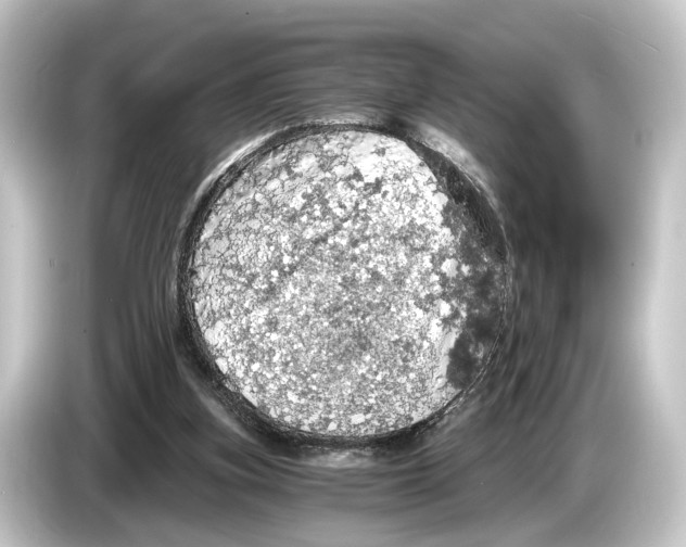 X0000084530155200703161615