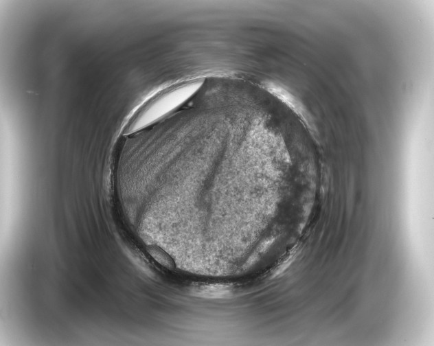 X0000084530156200703161615