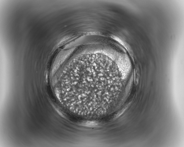 X0000084530157200703161615