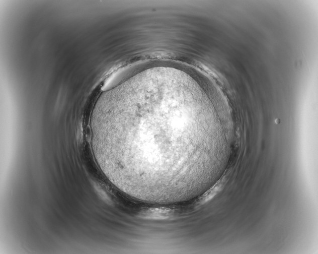 X0000084530158200703161615