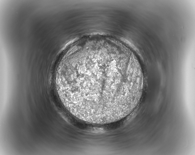 X0000084530159200703161615