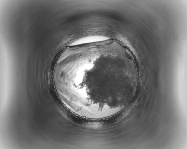 X0000084530161200703161615