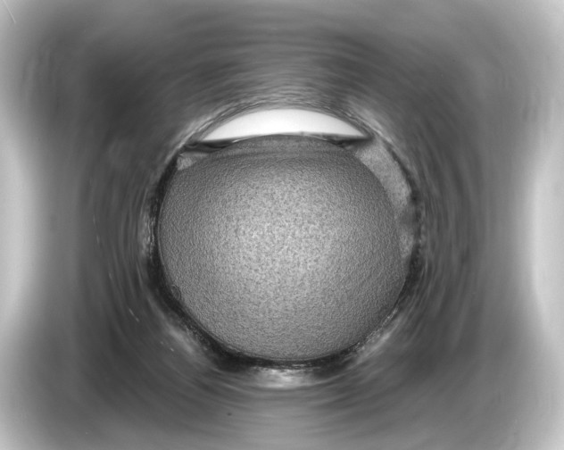 X0000084530164200703161615