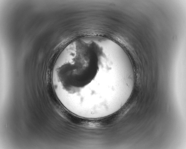 X0000084530165200703161615