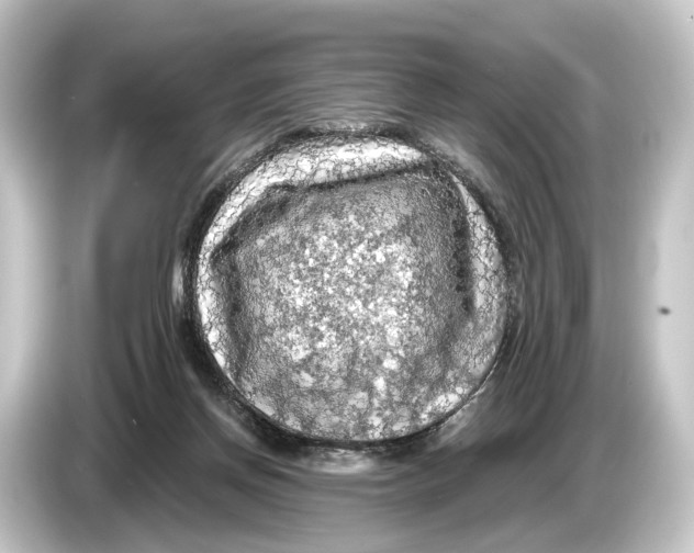 X0000084530166200703161615