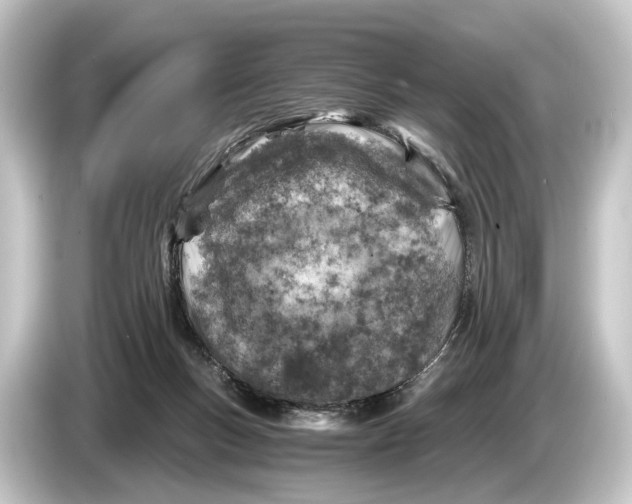 X0000084530167200703161615