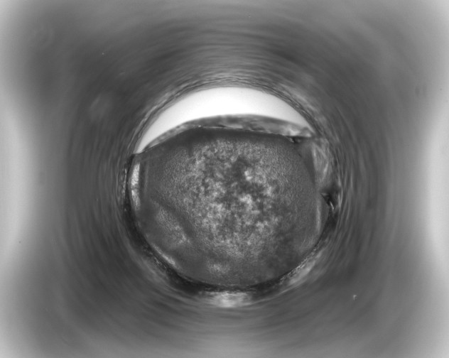 X0000084530168200703161615