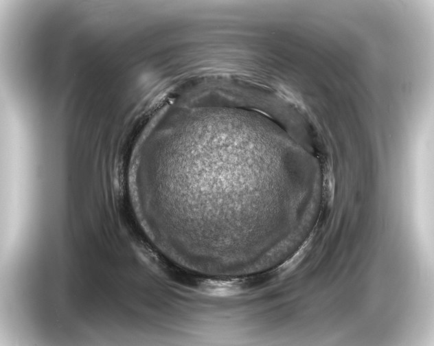 X0000084530170200703161615