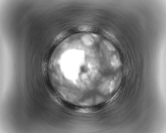 X0000084530171200703161615