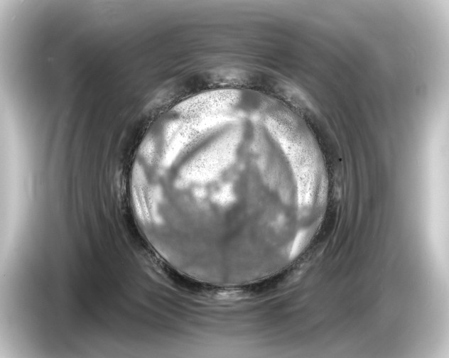 X0000084530173200703161615