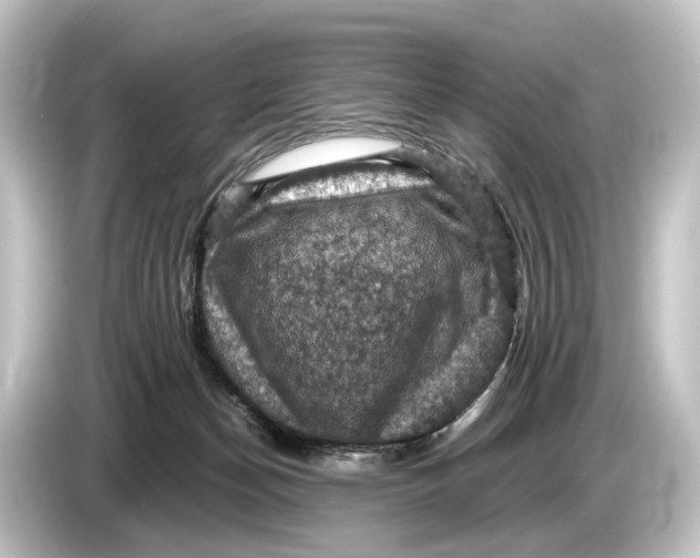 X0000084530174200703161615