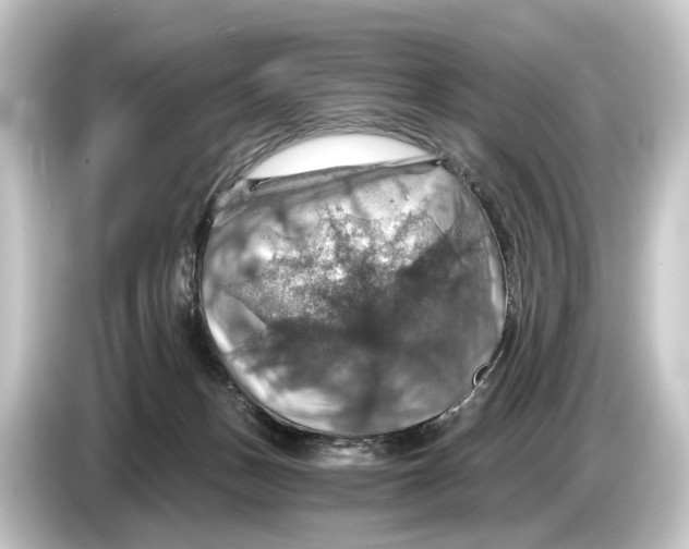 X0000084530175200703161615