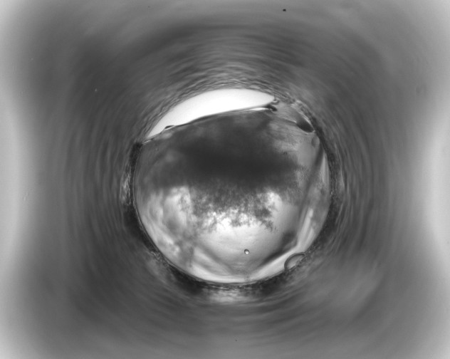 X0000084530177200703161615