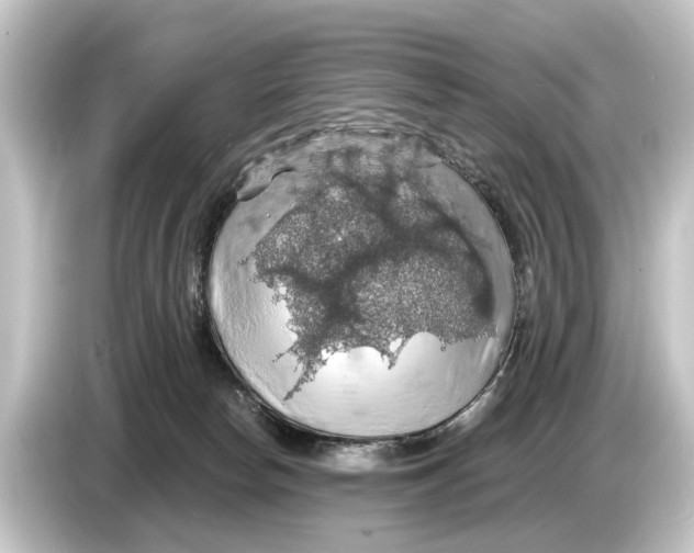 X0000084530178200703161615