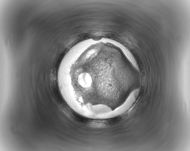 X0000084530179200703161615