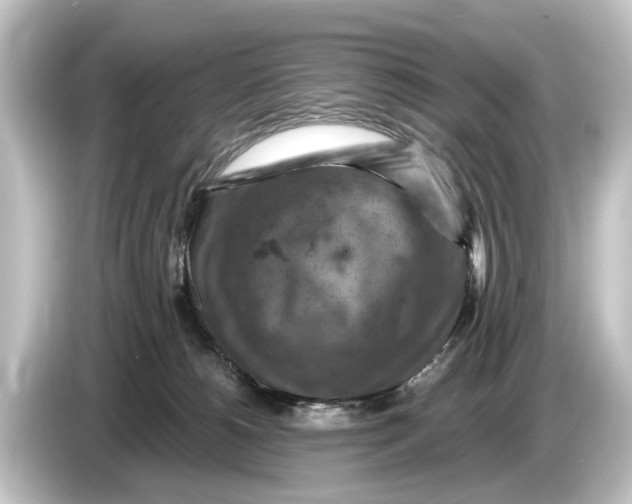 X0000084530180200703161615