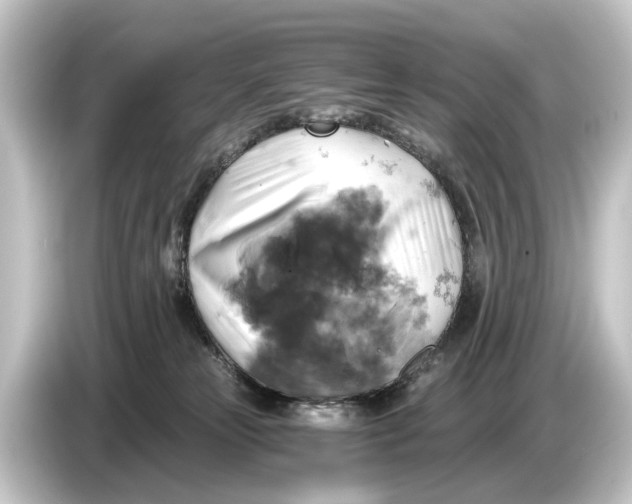 X0000084530181200703161615