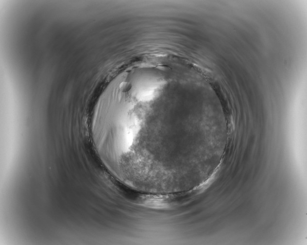 X0000084530182200703161615