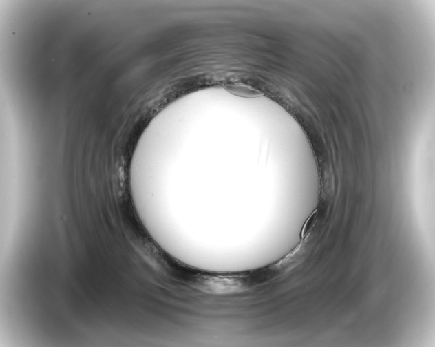 X0000084530183200703161615