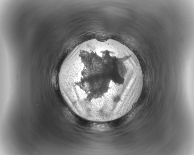 X0000084530185200703161615