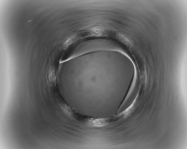 X0000084530186200703161615