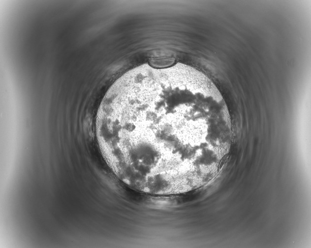 X0000084530187200703161615