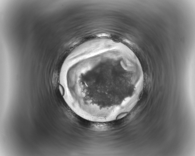 X0000084530189200703161615