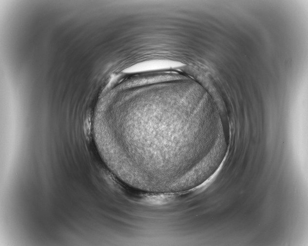 X0000084530190200703161615