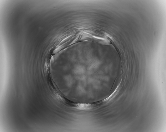 X0000084530192200703161615