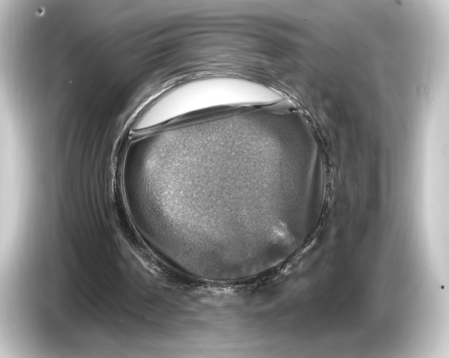 X0000084530194200703161615