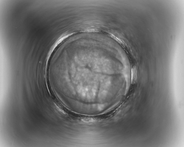 X0000084530195200703161615