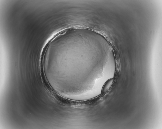 X0000084530196200703161615