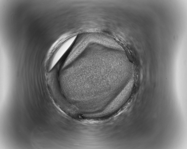 X0000084530197200703161615