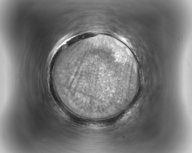 X0000084530199200703161615