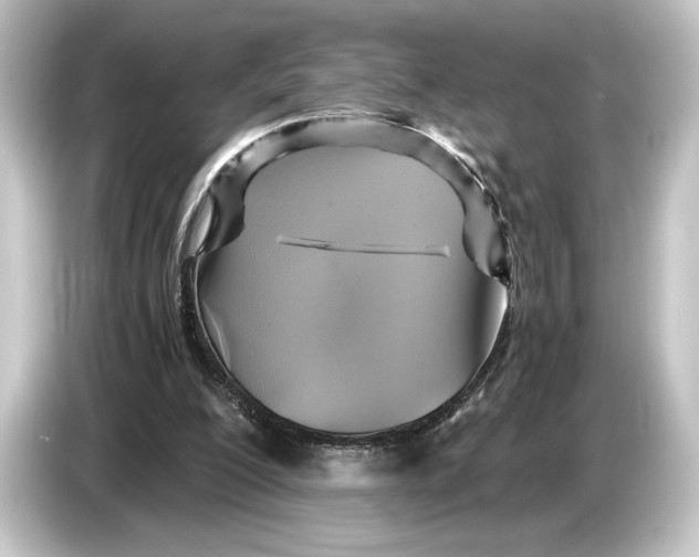 X0000084530200200703161615