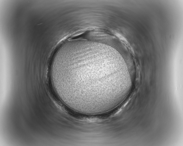 X0000084530201200703161615