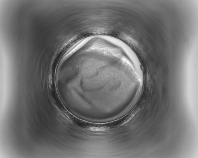 X0000084530202200703161615