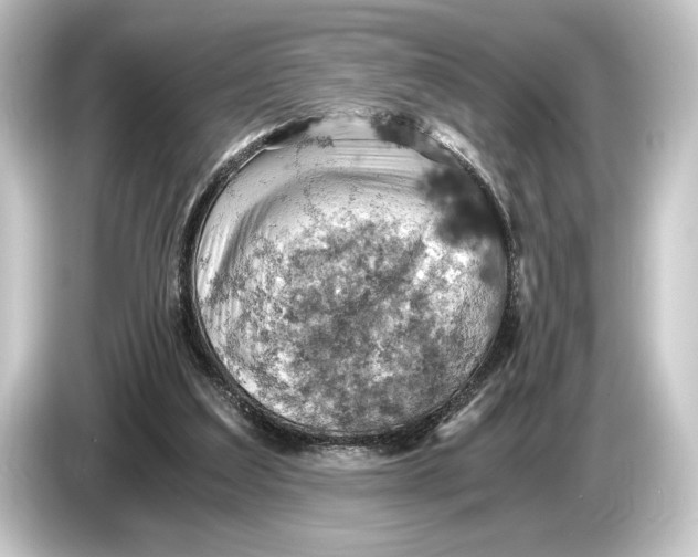 X0000084530203200703161615